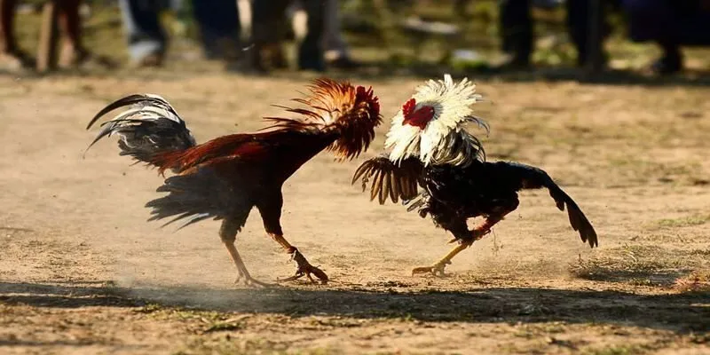 Bảo mật trong game cao