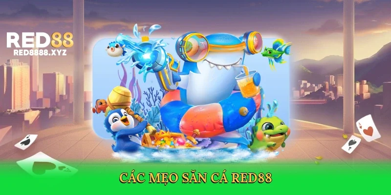 cac-meo-san-ca-red88-4