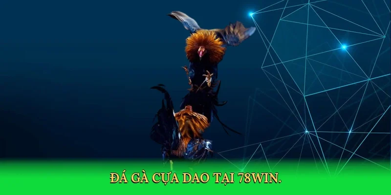 Đá gà cựa dao tại 78Win.