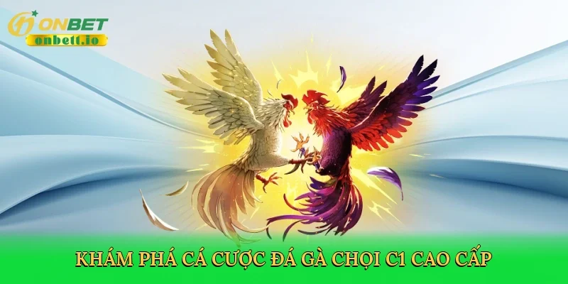 Khám phá cá cược Đá gà chọi C1 cao cấp