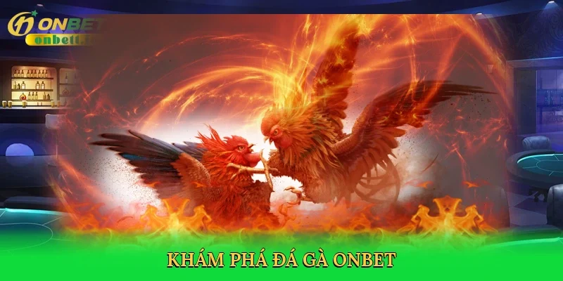 Khám phá đá gà Onbet