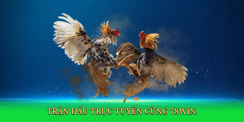 Trận đấu trực tuyến cùng 78Win.